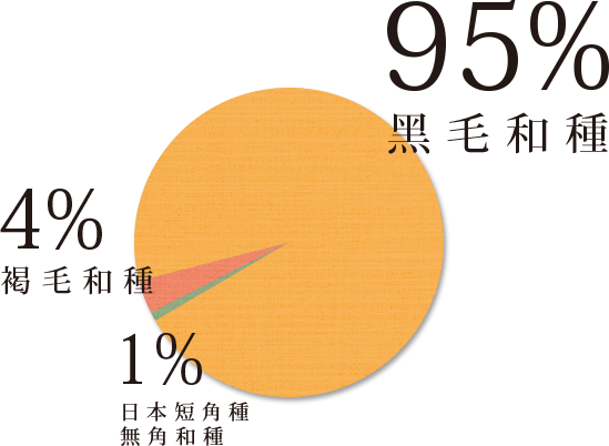 美福 日本和牛 百分比